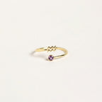 Zodiac Birthstone Adjustable Gold colored Ring