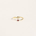 Zodiac Birthstone Adjustable Gold colored Ring