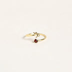 Zodiac Birthstone Adjustable Gold colored Ring