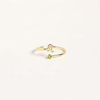 Zodiac Birthstone Adjustable Gold colored Ring
