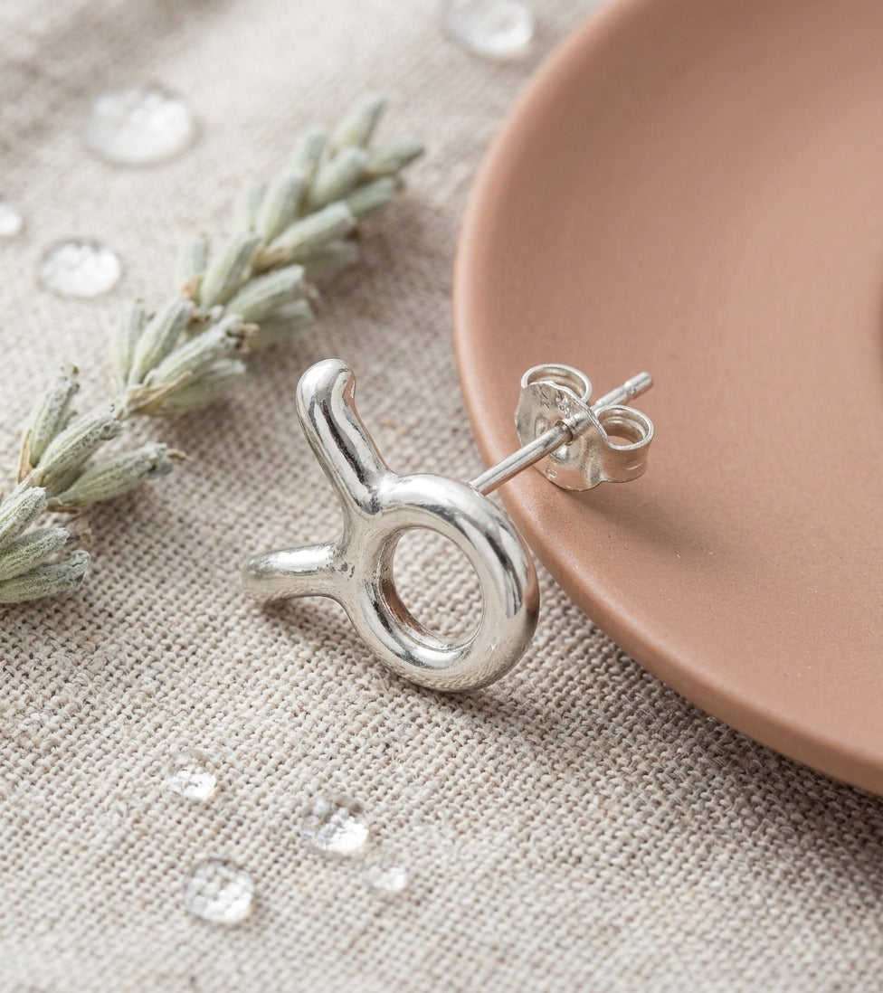 Zodiac Stud Earrings