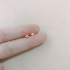 Classic Silver Earring with Timeless Appeal