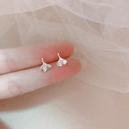 Classic Silver Earring with Timeless Appeal