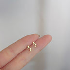 Classic Silver Earring with Timeless Appeal