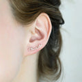 Charming Earring for Any Occasion