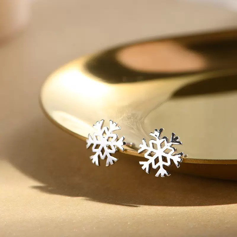 Classic Silver Earring with Timeless Appeal