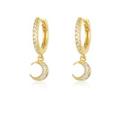 Charming Earring for Any Occasion