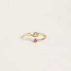 Zodiac Birthstone Adjustable Gold colored Ring