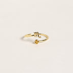 Zodiac Birthstone Adjustable Gold colored Ring