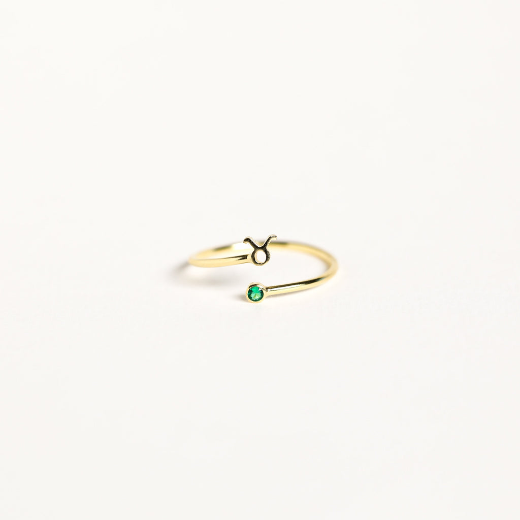 Zodiac Birthstone Ring by Caitlyn Minimalist • Zodiac Jewelry • Constellation Ring • Personalized Jewelry • Birthday Gift for Her • RM63F39