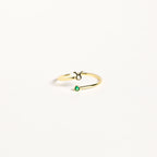 Zodiac Birthstone Ring by Caitlyn Minimalist • Zodiac Jewelry • Constellation Ring • Personalized Jewelry • Birthday Gift for Her • RM63F39