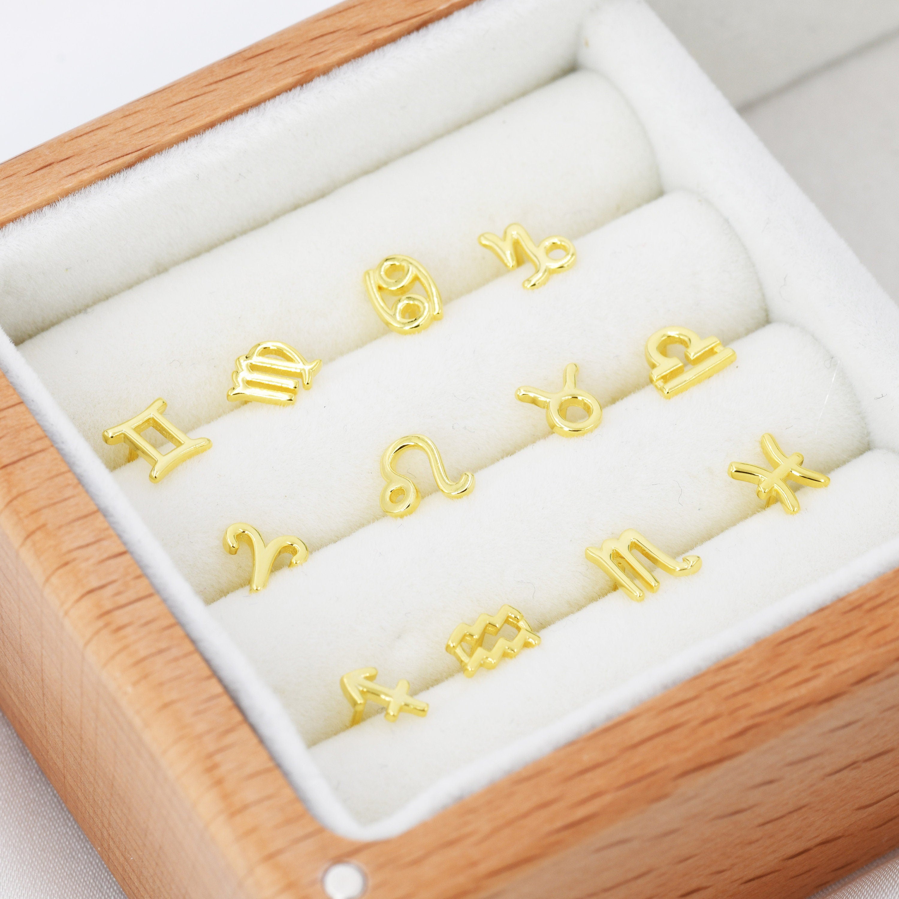 Pair of Zodiac Stud Earring in Sterling Silver, Silver or Gold, Horoscope  Earrings