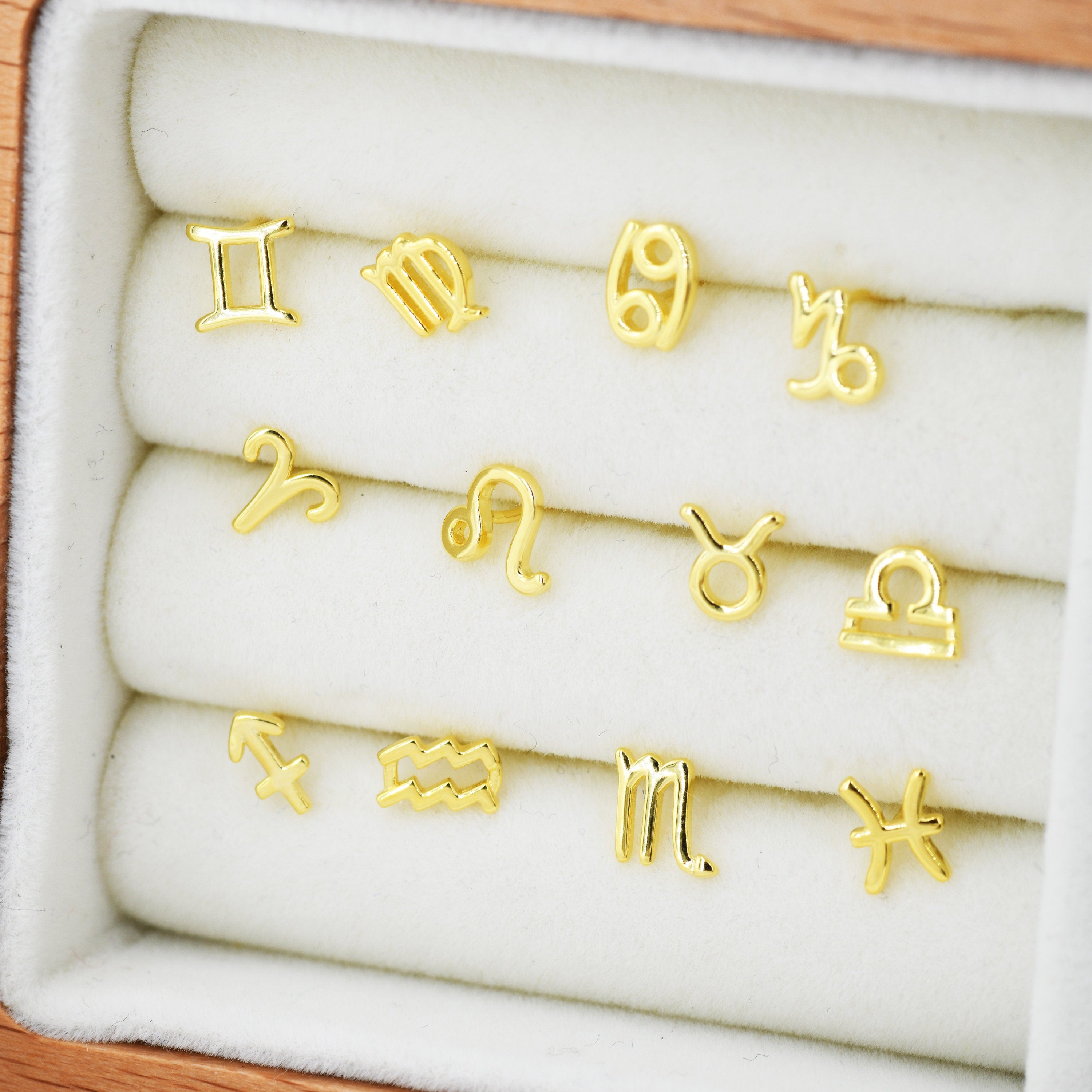 Pair of Zodiac Stud Earring in Sterling Silver, Silver or Gold, Horoscope  Earrings