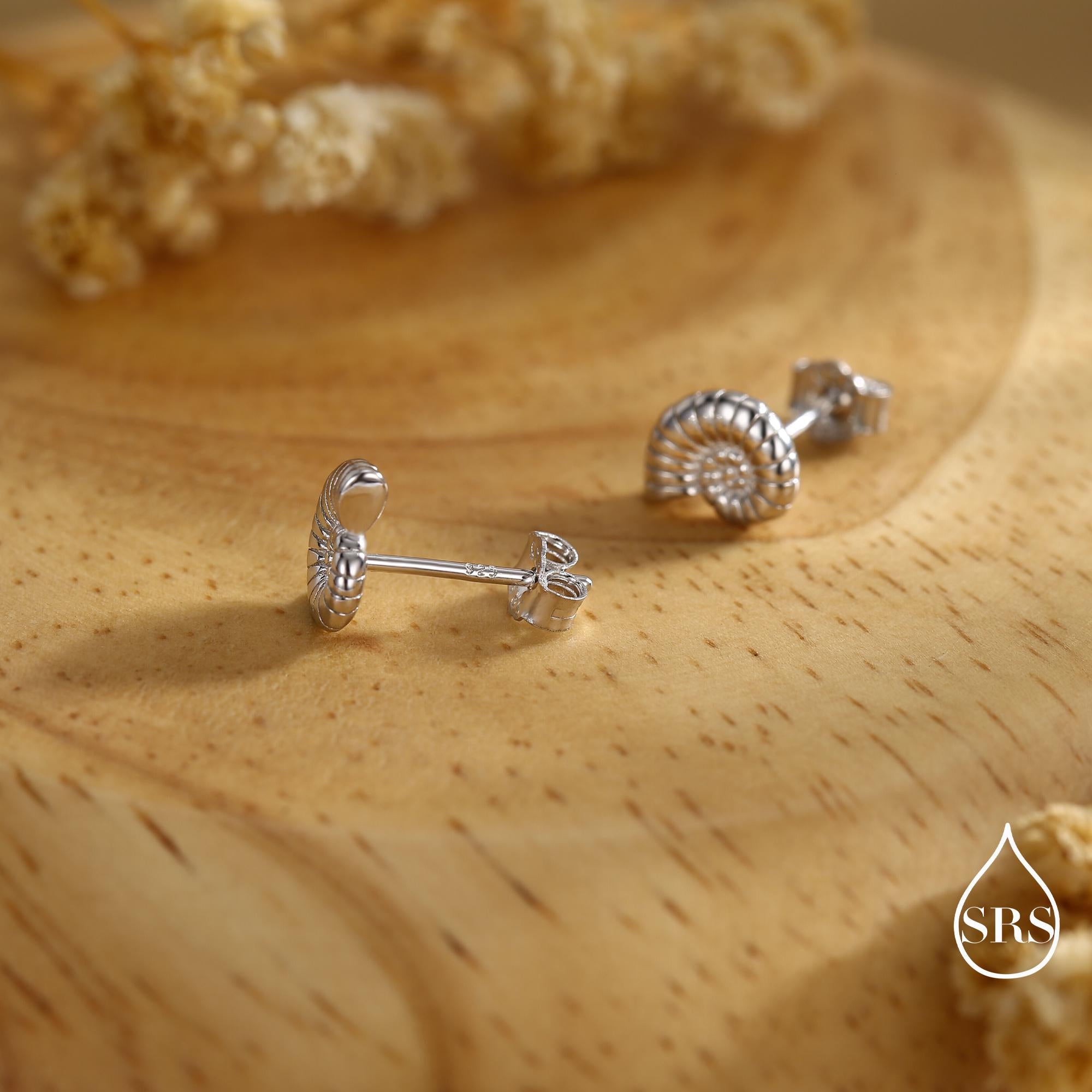 Sterling Silver Ammonite Shell Stud Earrings