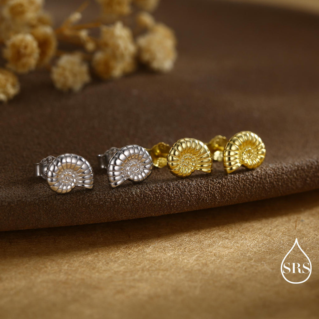Sterling Silver Ammonite Shell Stud Earrings