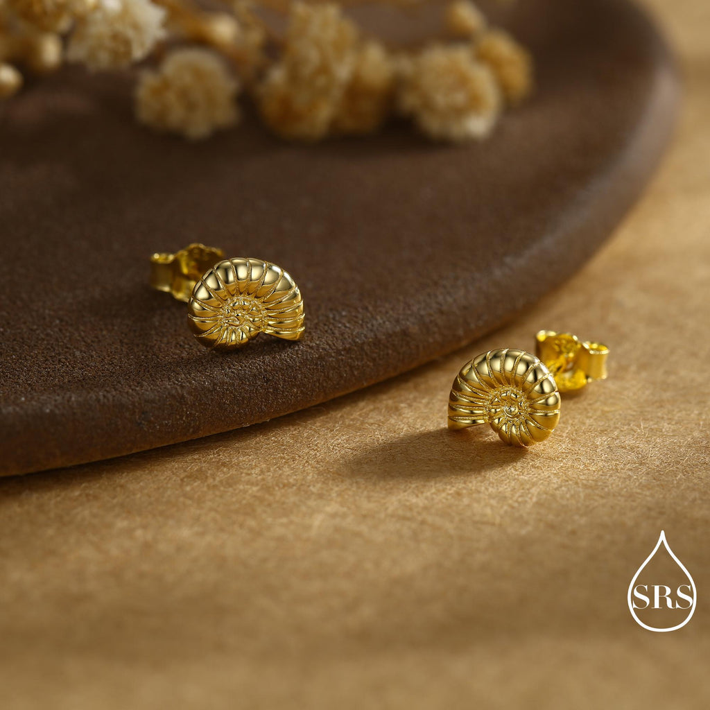 Sterling Silver Ammonite Shell Stud Earrings