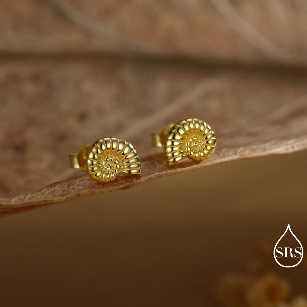 Sterling Silver Ammonite Shell Stud Earrings