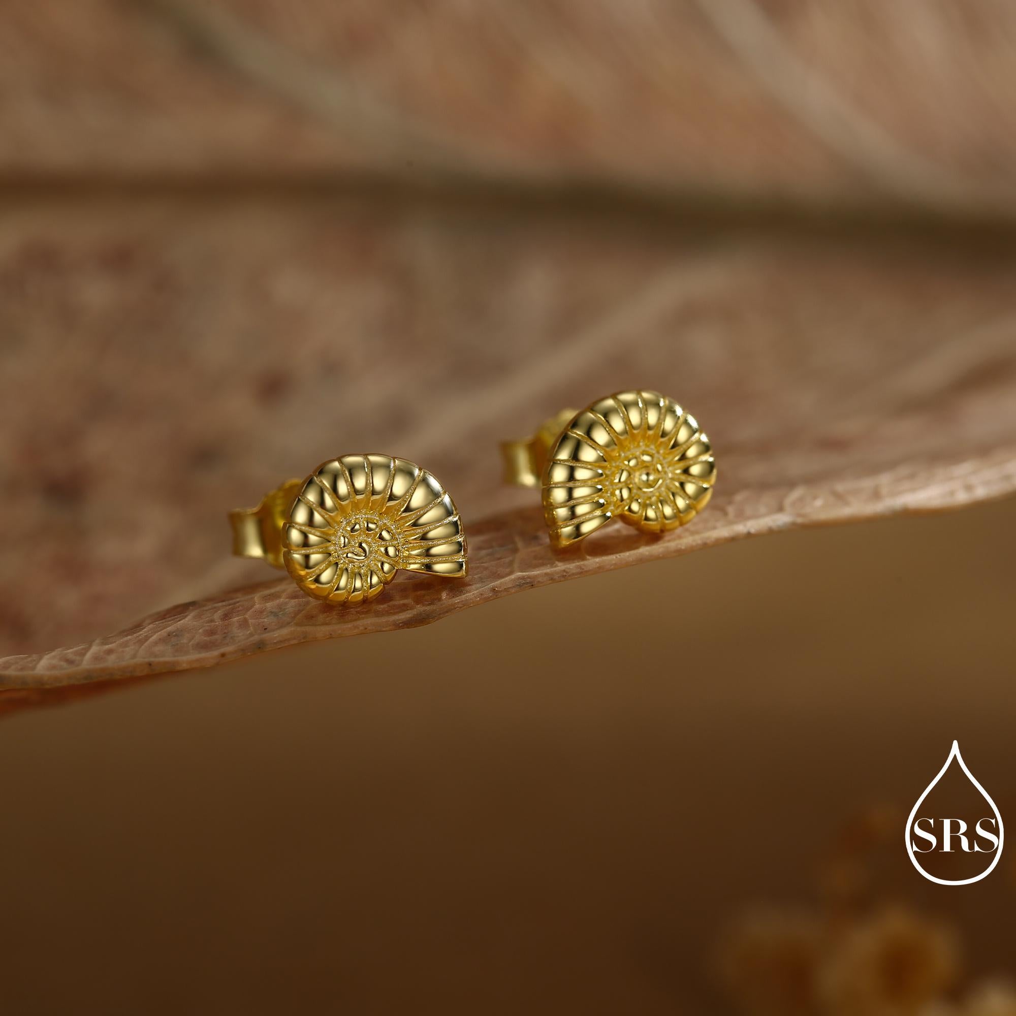 Sterling Silver Ammonite Shell Stud Earrings
