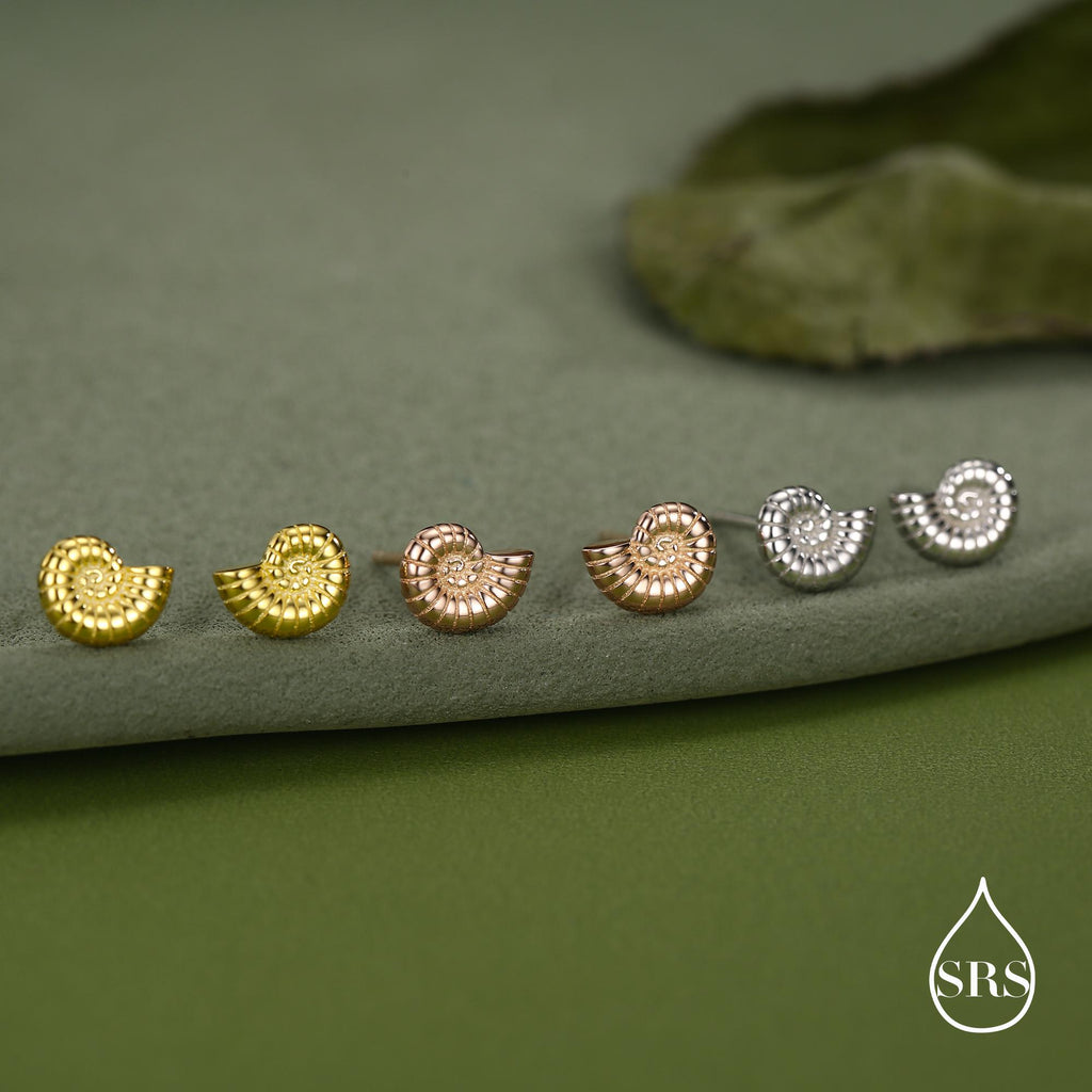 Sterling Silver Ammonite Shell Stud Earrings