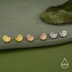 Sterling Silver Ammonite Shell Stud Earrings