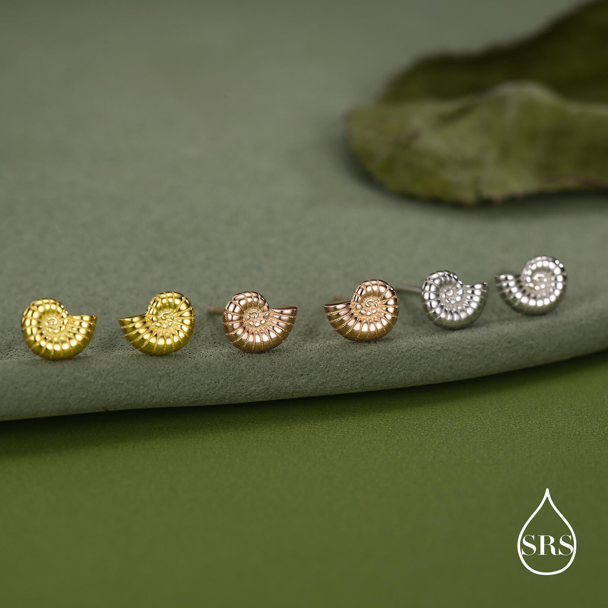 Sterling Silver Ammonite Shell Stud Earrings