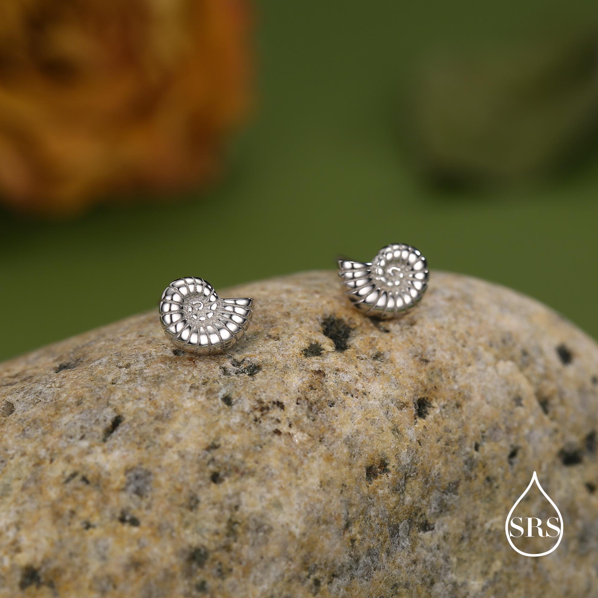 Sterling Silver Ammonite Shell Stud Earrings