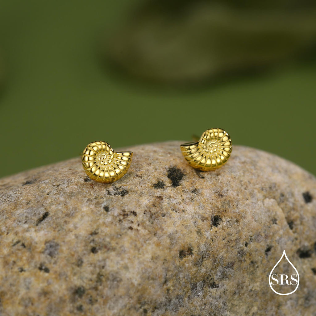 Sterling Silver Ammonite Shell Stud Earrings