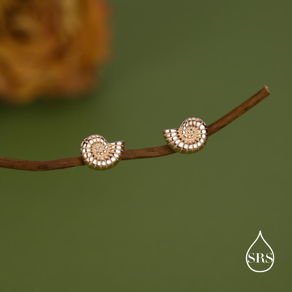 Sterling Silver Ammonite Shell Stud Earrings