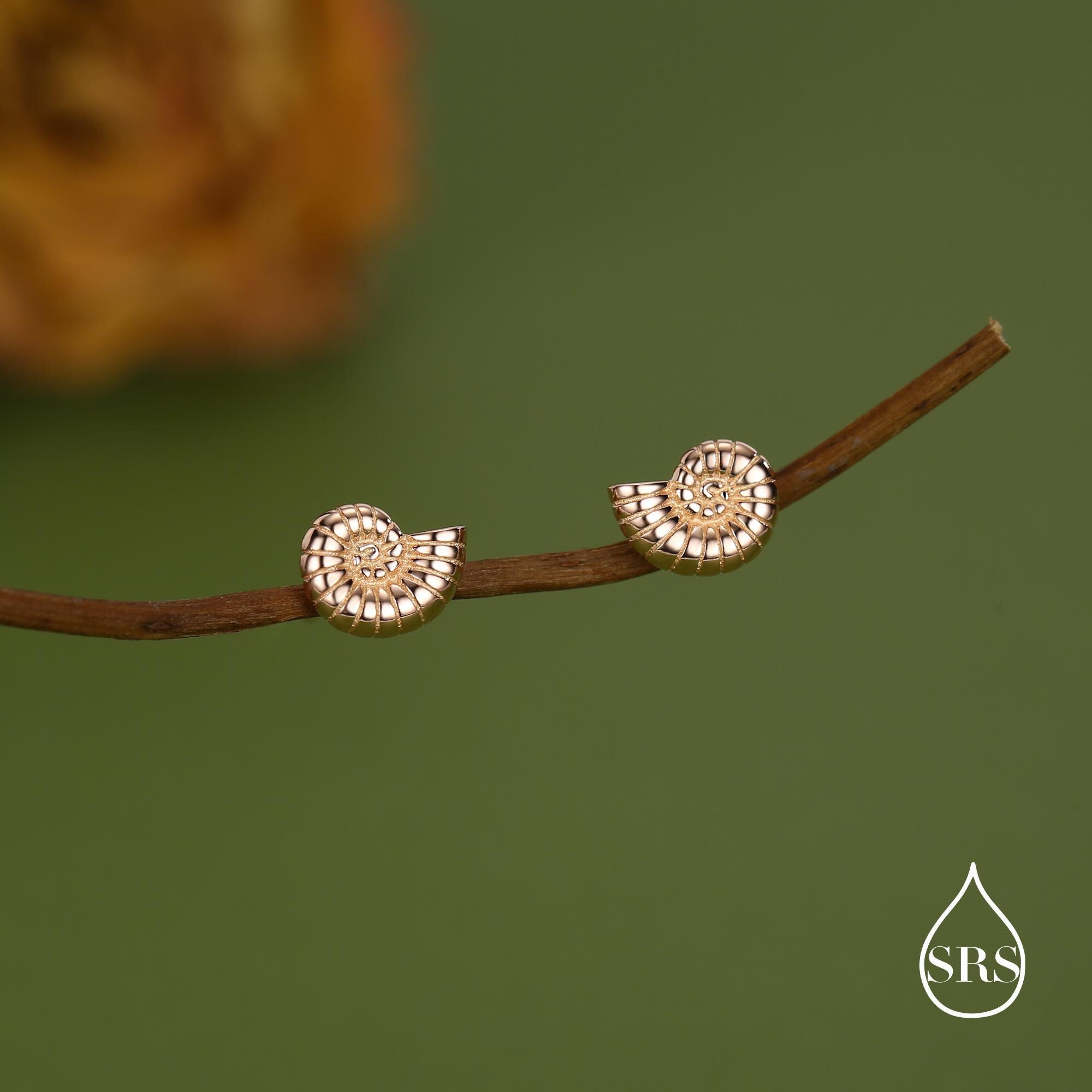 Sterling Silver Ammonite Shell Stud Earrings