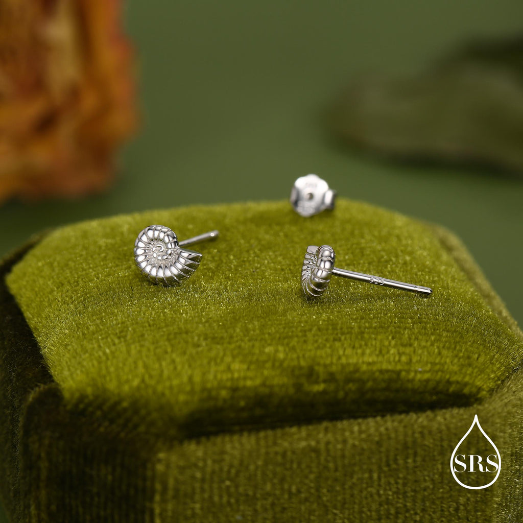 Sterling Silver Ammonite Shell Stud Earrings