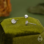Sterling Silver Ammonite Shell Stud Earrings
